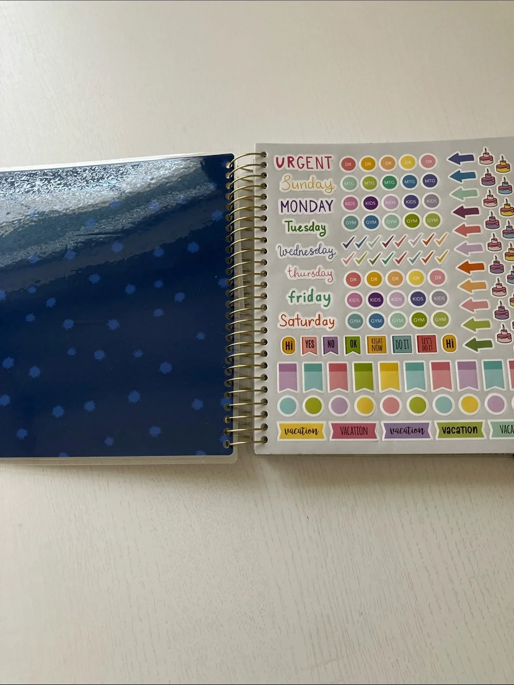 The Creative Expert 17 Month Planner-Rejoice In The Lord Always 8/26-12/27 NWT